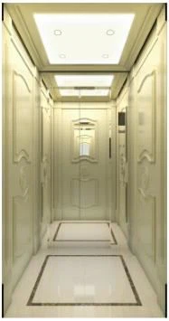 고급스럽고 우아한 빌라 엘리베이터